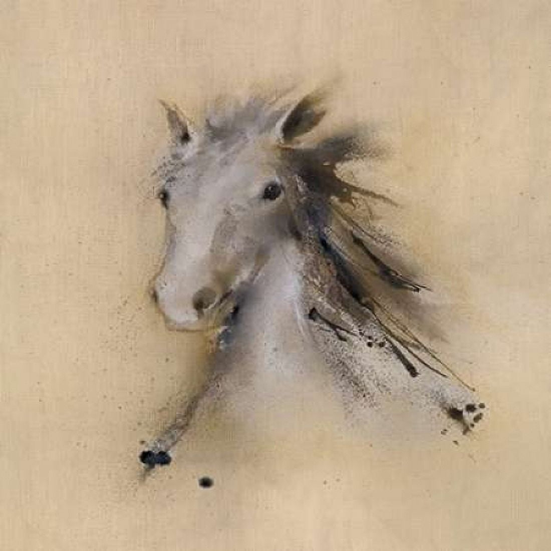 Horse Play II Canvas Art - JP Prior (24 x 24)