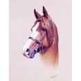 thumbnail image 1 of Horse Portrait Poster Print By Malcolm Greensmith ® Adrian Bradburymary Evans (24 X 36), 1 of 3