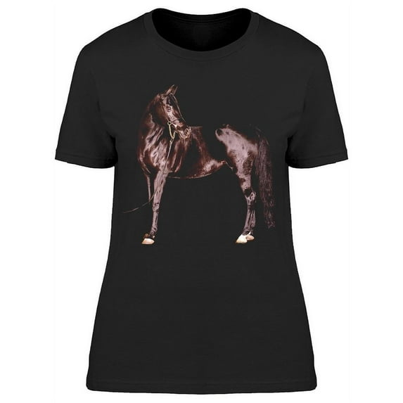 Horse Possing W/Turned Head T-Shirt Women -Image by Shutterstock Women T-Shirt, Female Medium
