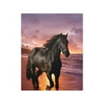 thumbnail image 1 of Horse Poster, 1 of 3