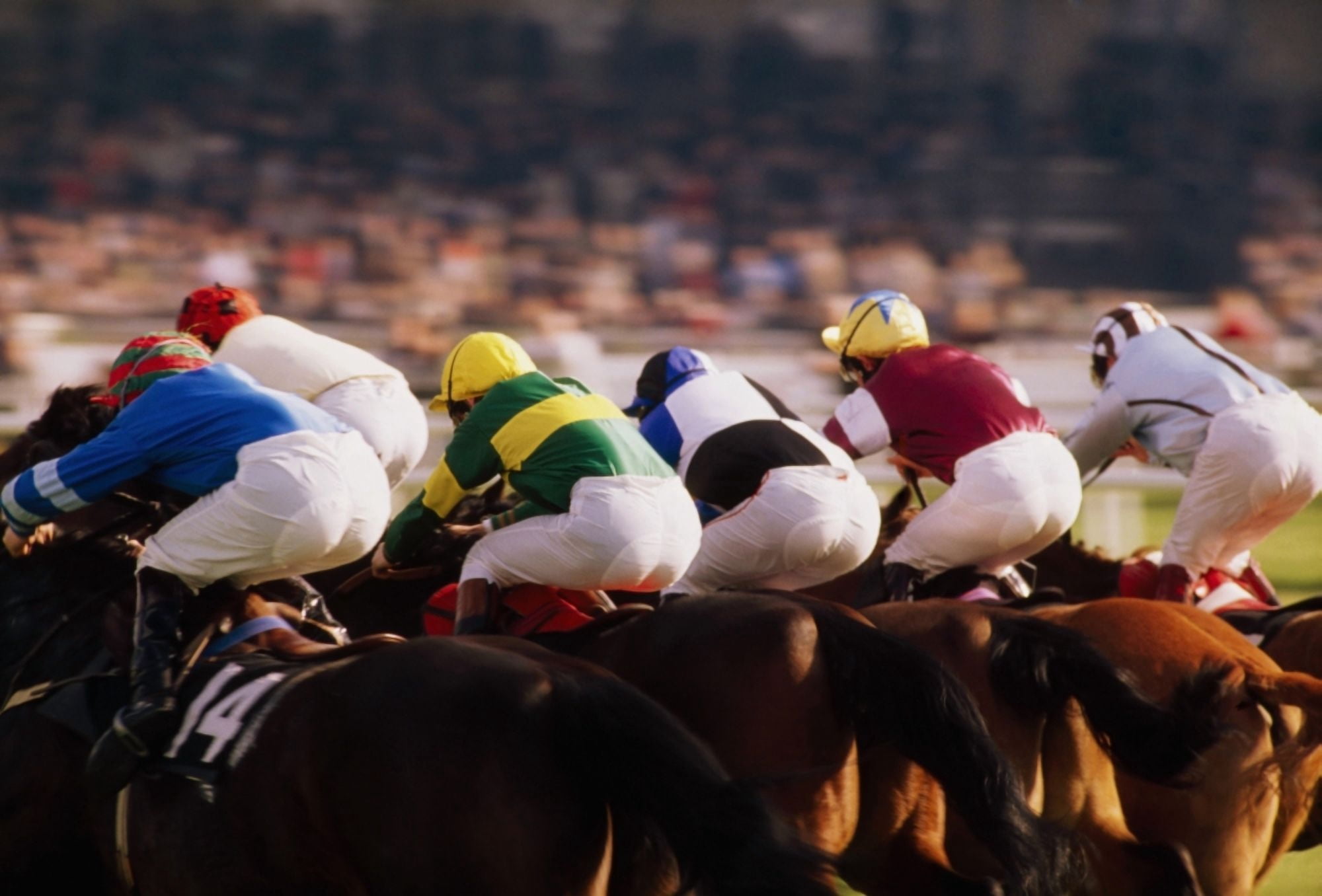 Horse Racing Phoenix Park Dublin Ireland Canvas Art - The Irish Image Collection Design Pics (18 x 12)