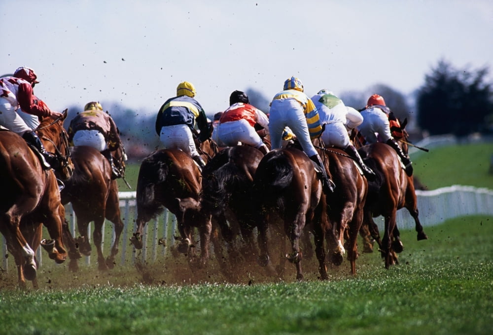 Horse Racing Rear View Of Horses Racing Canvas Art - The Irish Image Collection  Design Pics (36 x 24)