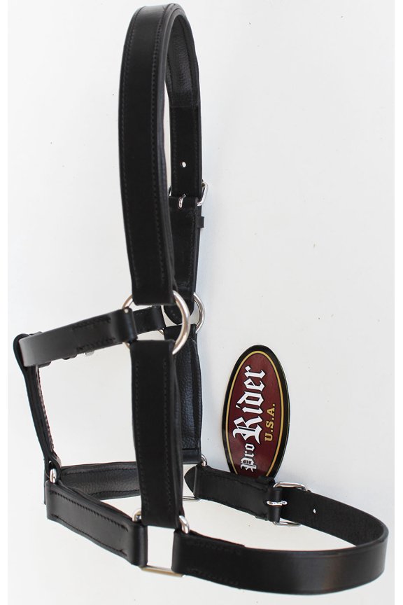 Horse Riding Leather Halter English Western Tack Foal Black 927R17BK