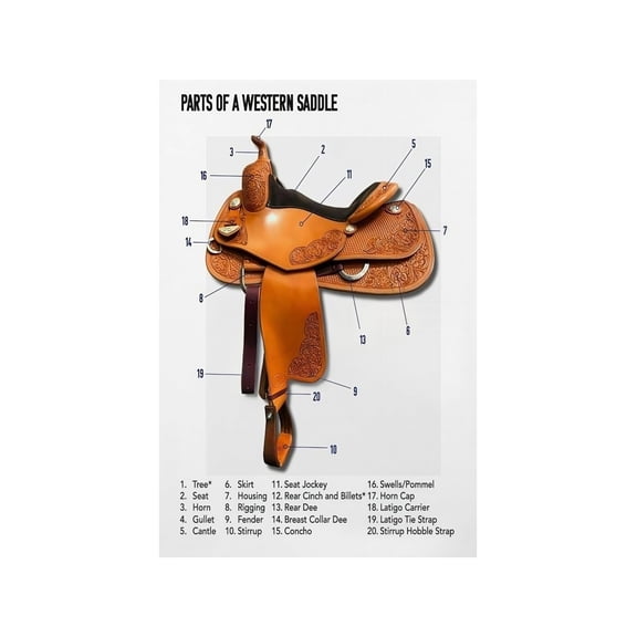 Horse Riding Poster Western Saddle Parts Educational Guide Chart for Equestrian Room Barn Decor Kids Riding Lessons