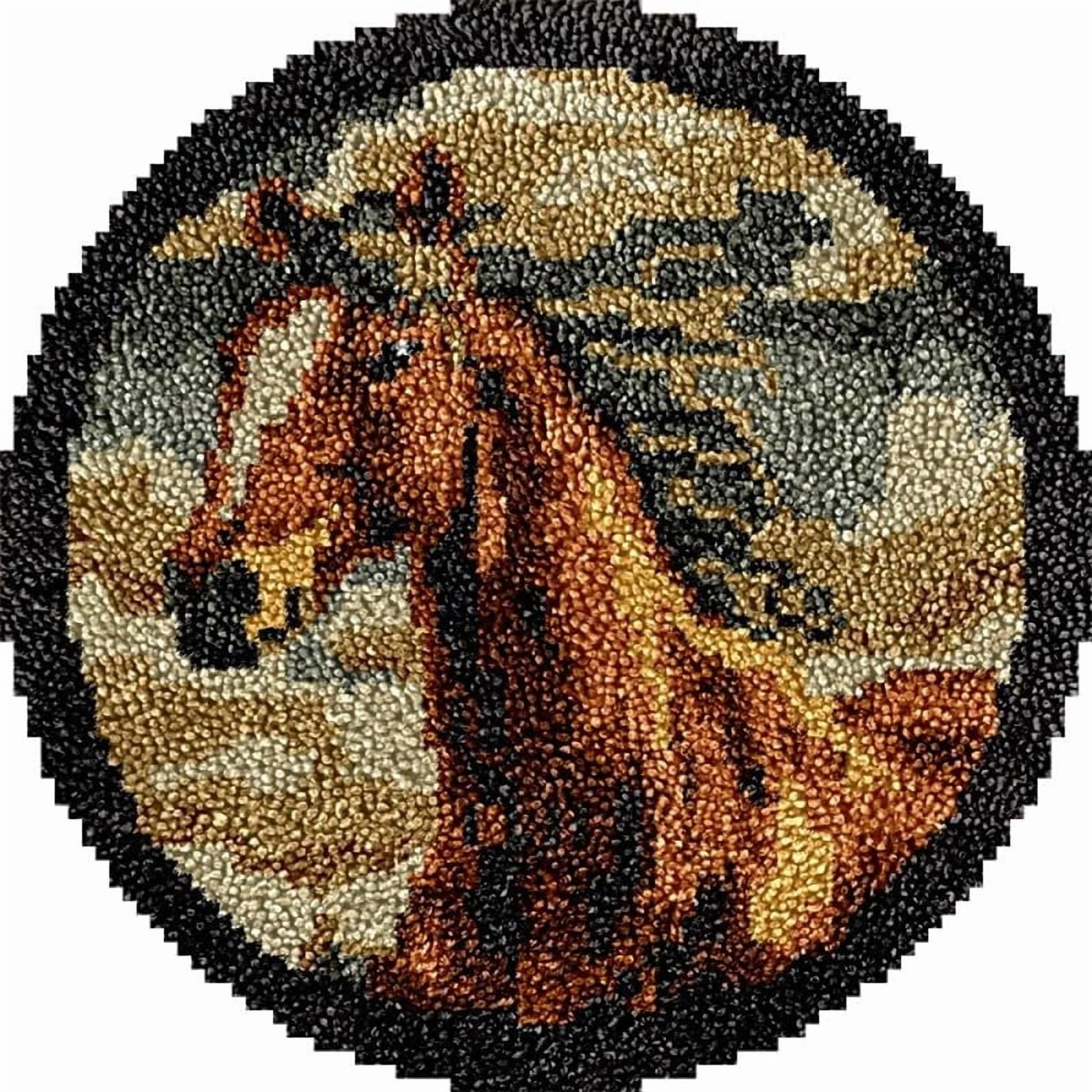 Horse Round Shape Latch Hook Rug Kits Set for Starter Crochet Hook Cushion Mat Sofa Seat Cushion Crocheting Kits with Preprinted Canvas Crochet Yarn Kits 50X50cm (ui99)