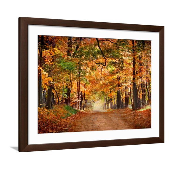 Art.com Horse Running across Road in Fall Colors Photographic Print, Brown Frame Wall Art, 40" x 32"