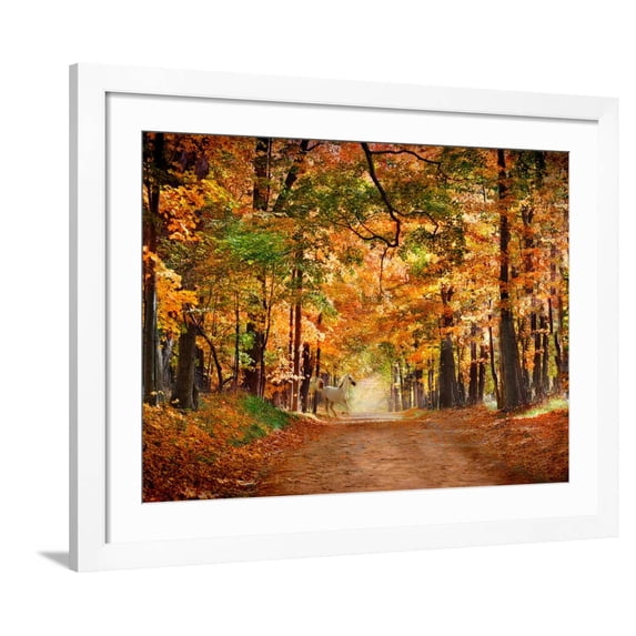 Art.com Horse Running across Road in Fall Colors Photographic Print, White Frame Wall Art, 40" x 32"