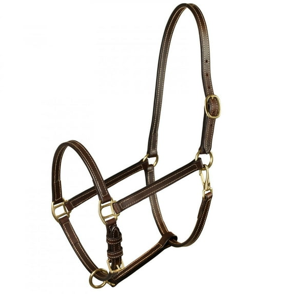Horse Size Horze Fremont Leather Halter Brown