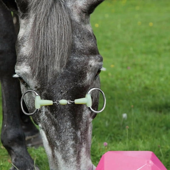 Horse Snaffle Bit, Stainless Steel Loose Ring Horse Mouth Bit, Loose Link Horse Mouth Bit for Horse Training and Riding