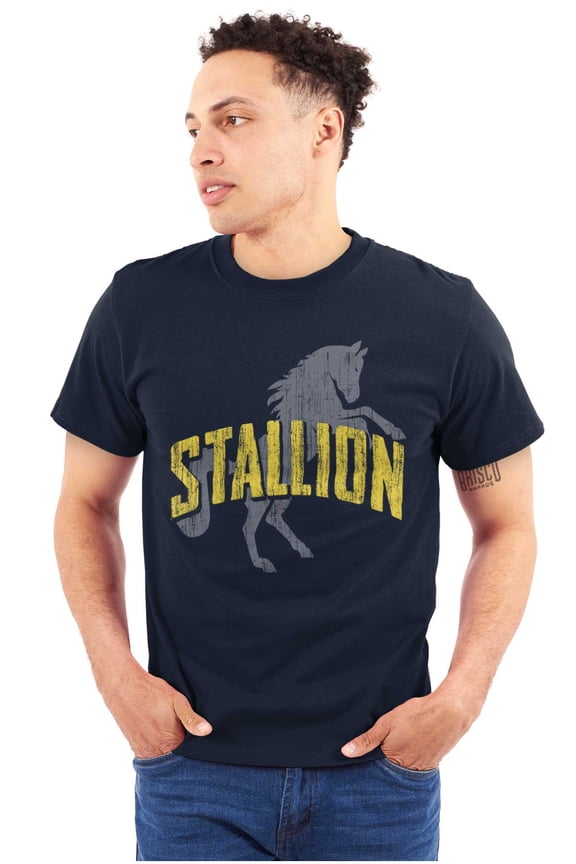 Horse Stallion Distressed Vintage Men's Big & Tall Crewneck Graphic Tee Brisco Brands 2X