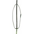 Horse Standing Martingale