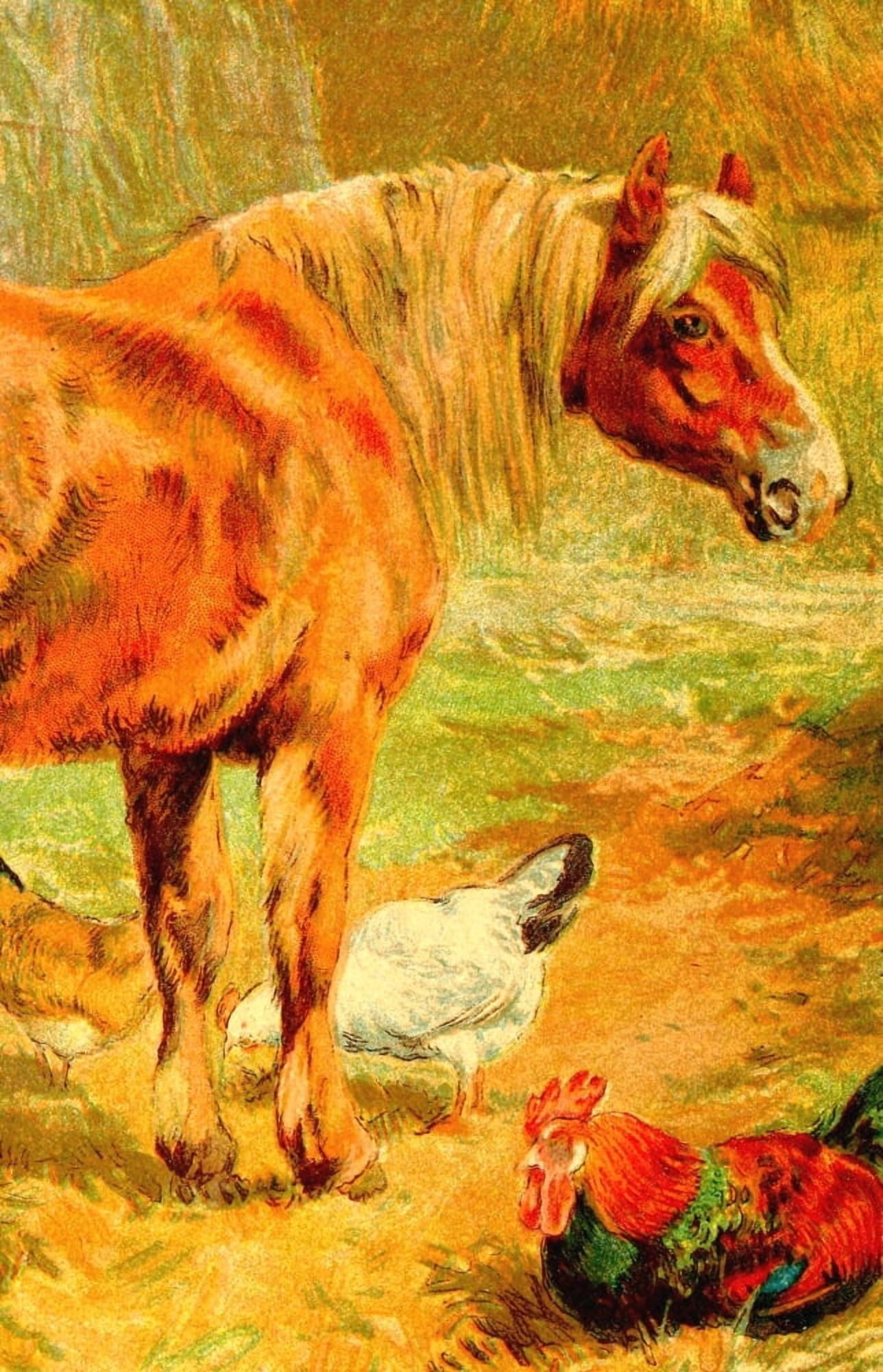 Horse Tales 1924 Horse Sally Canvas Art - Unknown (24 x 36)