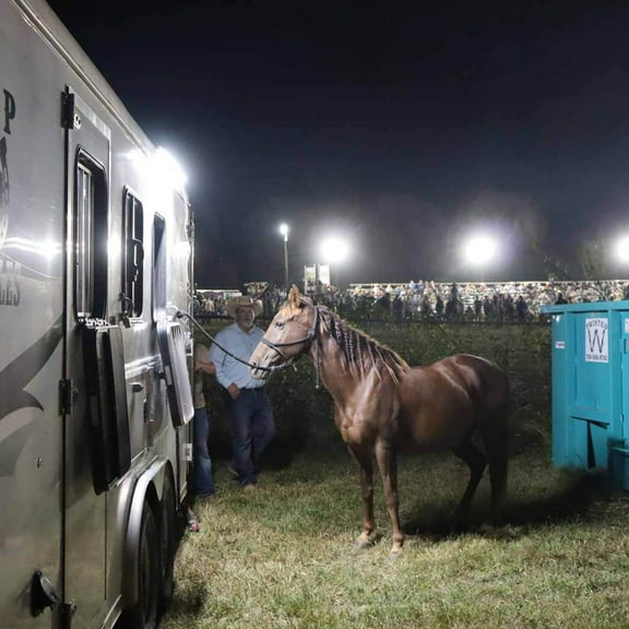 Horse Trailer Side Mount Light - 10,000 Lumens