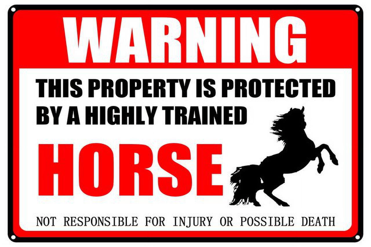 Targa In Metallo 'Warning This Property Is Protected By Highly Trained Chickens' - Vintage 20x30 Cm, Umoristica - 3