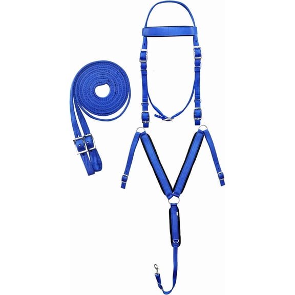 Horse Western 3-Piece Nylon Bridle Breast Collar Reins Tack Set 601J02