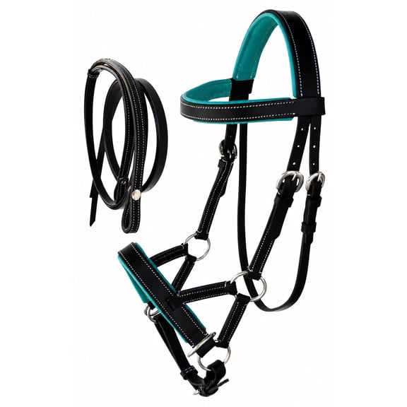 Horse Western Cob Leather Training Tack Bitless Sidepull Bridle w/ Reins 7711TL-C