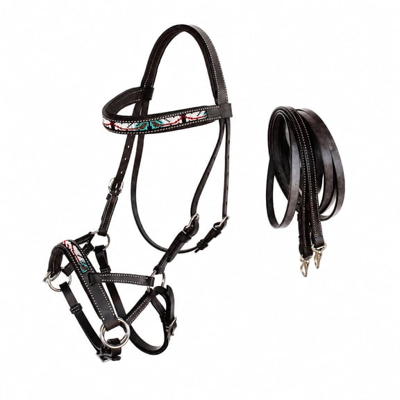 Horse Western Padded Leather Beaded Bitless Sidepull Bridle 77RT18BR-F