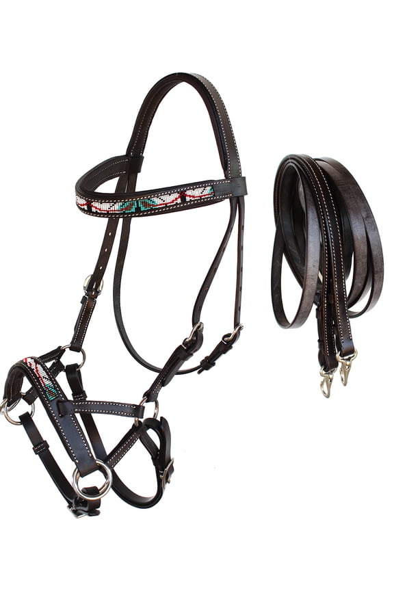 Horse Western Padded Leather Beaded Bitless Sidepull Bridle 77RT18BR-F