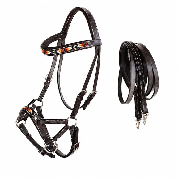Horse Western Padded Leather Beaded Bitless Sidepull Bridle 77RT20BR-F