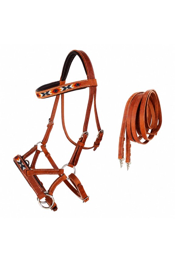 Horse Western Padded Leather Beaded Bitless Sidepull Bridle 77RT20TN-F