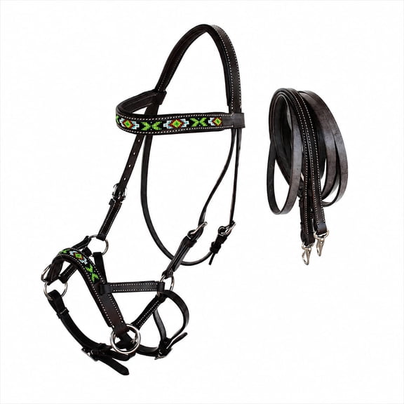 Horse Western Padded Leather Beaded Bitless Sidepull Bridle 77RT21BR-F