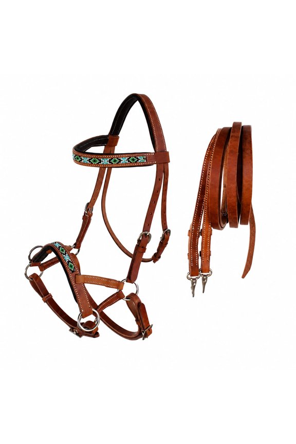 Horse Western Padded Leather Beaded Bitless Sidepull Bridle 77RT22TN-F