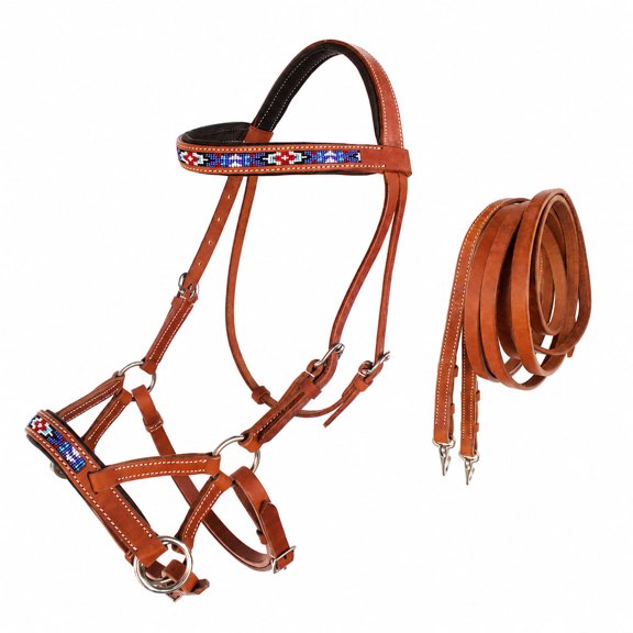 Horse Western Padded Leather Beaded Bitless Sidepull Bridle 77RT24TN-F