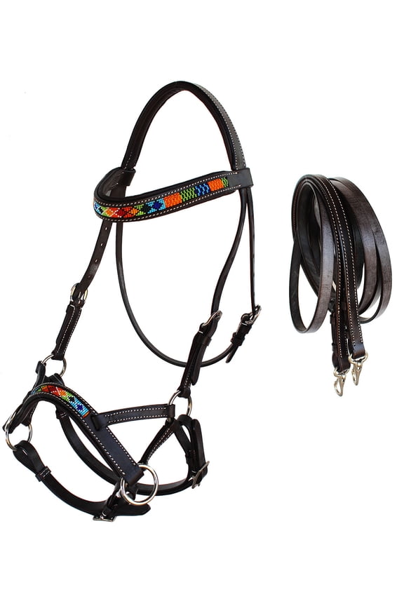 Horse Western Padded Leather Beaded Bitless Sidepull Bridle Reins 77RT15BR-F