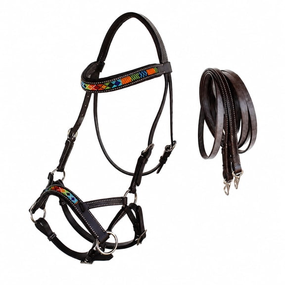 Horse Western Padded Leather Beaded Bitless Sidepull Bridle Reins 77RT15BR-F