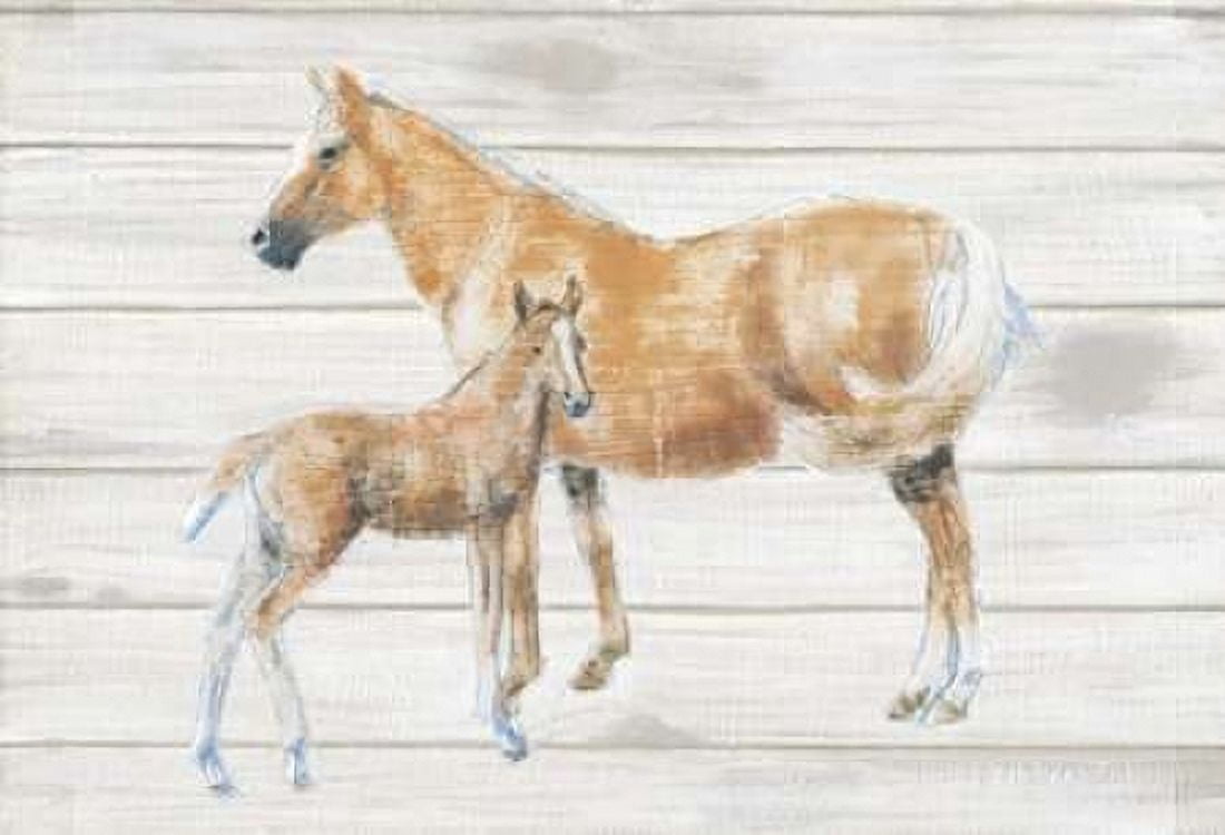 Horse and Colt on Wood Canvas Art - Emily Adams (20 x 28)
