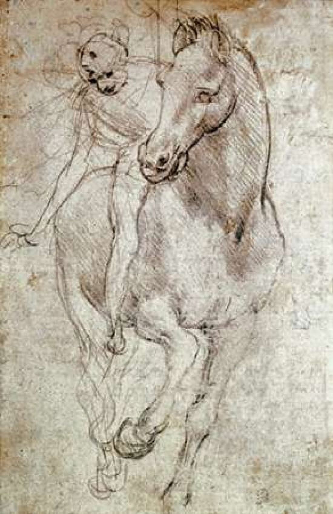 Horse and Rider Canvas Art - Leonardo Da Vinci (24 x 36)