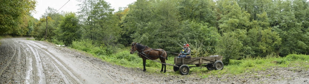 Horse cart at roadside Bradu Arges County Romania Canvas Art - Panoramic Images (36 x 12)