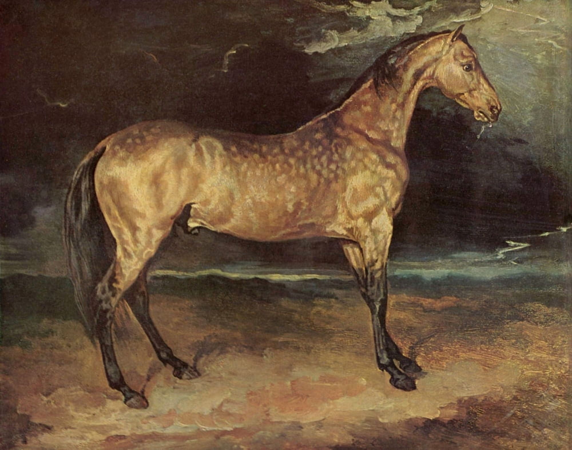 Horse in a Storm Canvas Art - Thodore Gricault (18 x 24)