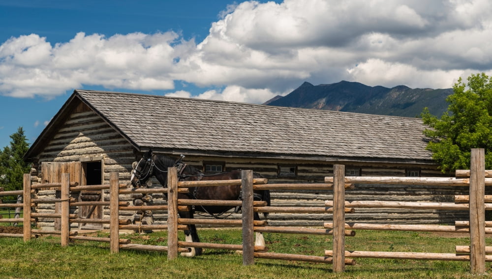 Horse in barn Rocky Mountains Fort Steele British Columbia Canada Canvas Art - Panoramic Images (14 x 24)