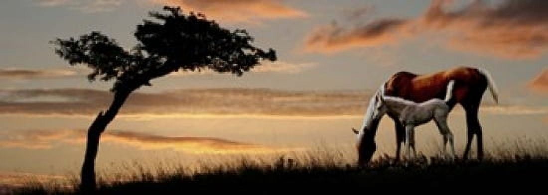Horse mare and a foal grazing by tree at sunset Canvas Art - Panoramic Images (18 x 7)