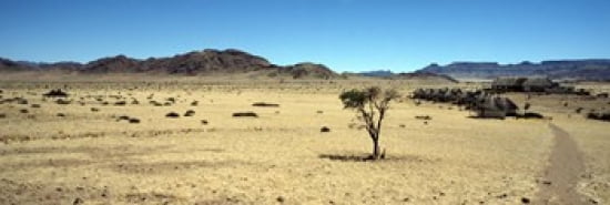 Horse ranch on a homestead Namibia Canvas Art - Panoramic Images (36 x 12)