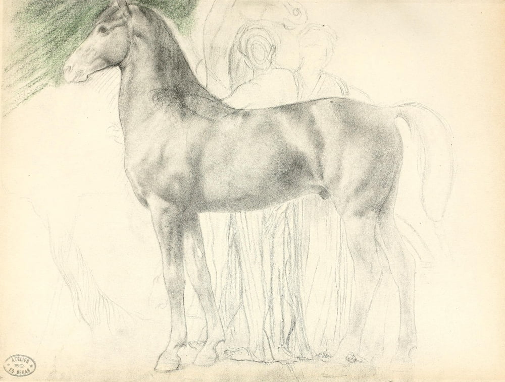 Horse study Canvas Art - Edgar Degas (24 x 36)
