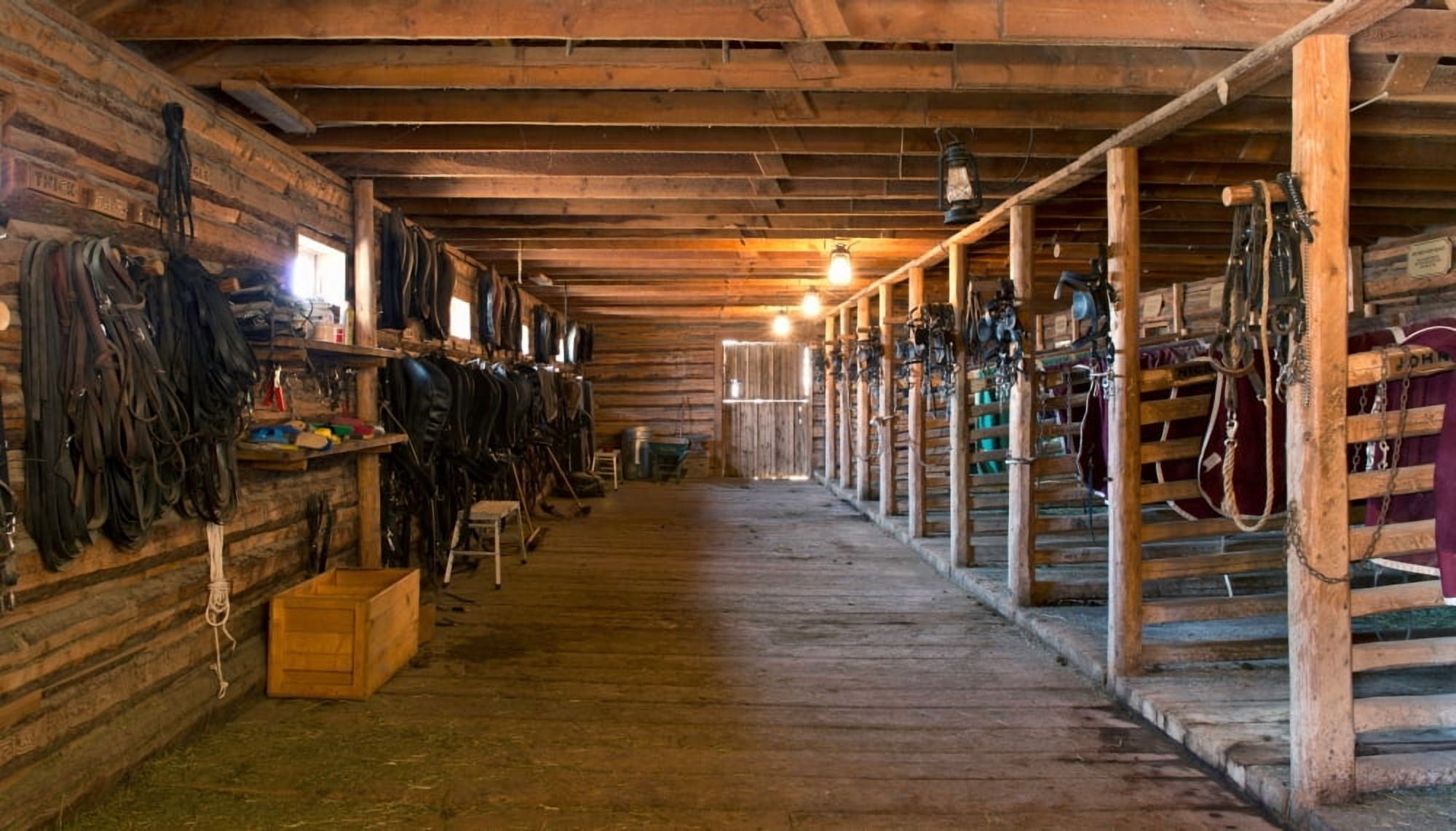 Horse tacks in barn Fort Steele British Columbia Canada Canvas Art - Panoramic Images (14 x 24)