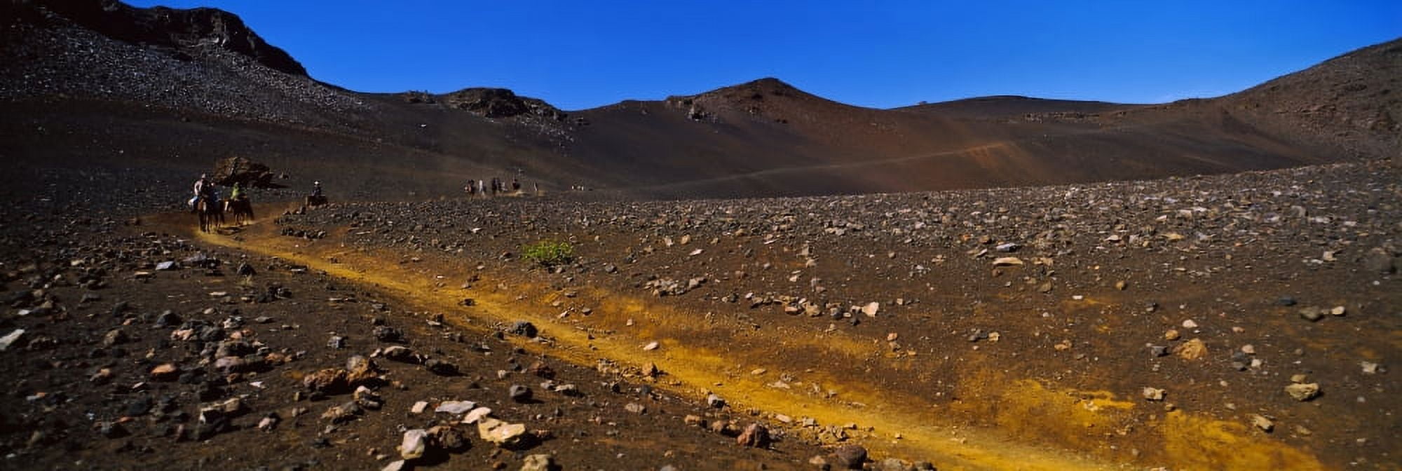 Horse trek Haleakala Maui Big Island Hawaii USA Canvas Art - Panoramic Images (36 x 12)