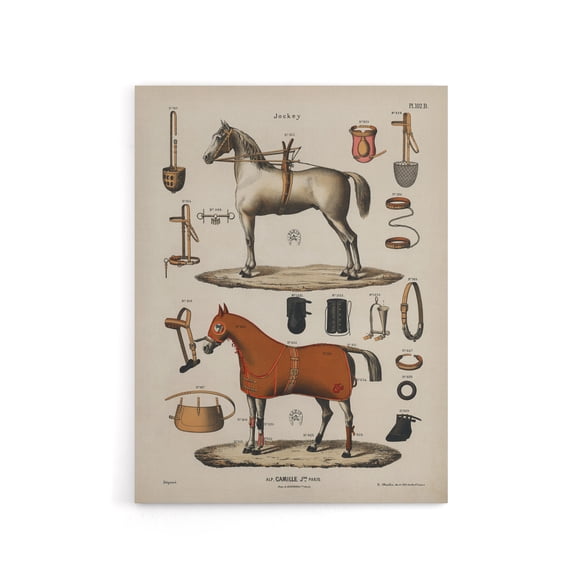 Horseback Riding Camille Jeune Vintage Canvas Wall Art 12X16"