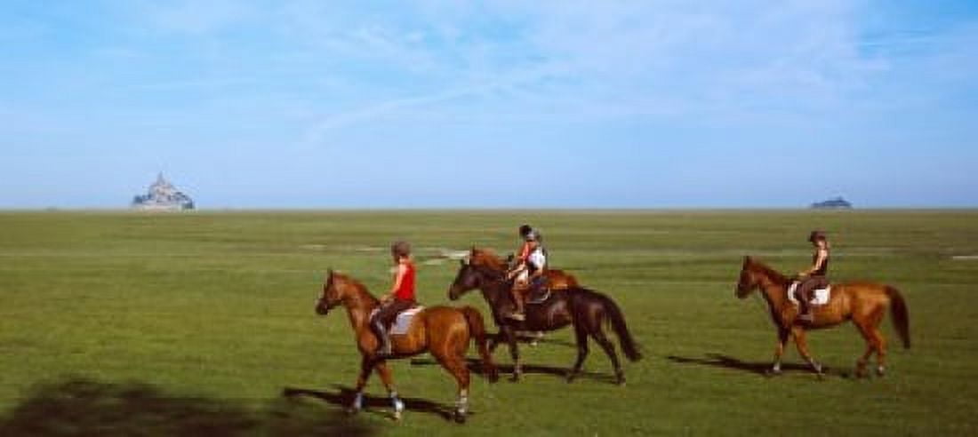 Horseback riders in a field with Mont Saint-Michel island in background Manche Basse-Normandy France Canvas Art - Panoramic Images (15 x 7)