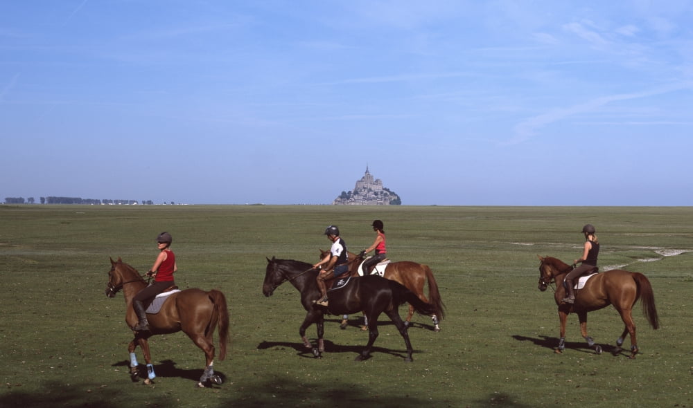 Horseback riders in a field with Mont Saint-Michel island in background Manche Basse-Normandy France Canvas Art - Panoramic Images (36 x 12)