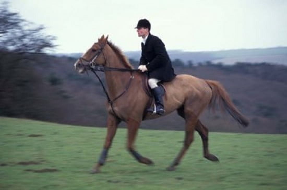 Horseback riding Leicestershire England Canvas Art - Alan Klehr DanitaDelimont (18 x 12)