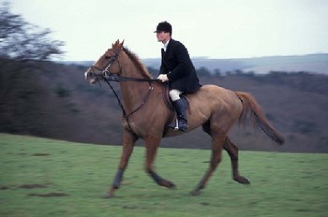 Horseback riding Leicestershire England Canvas Art - Alan Klehr DanitaDelimont (36 x 24)