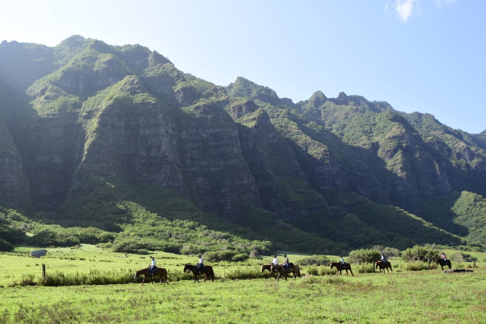Horseback riding along the Koolau Range in Oahu Hawaii Canvas Art - Ryan RossottoStocktrek Images (35 x 24)