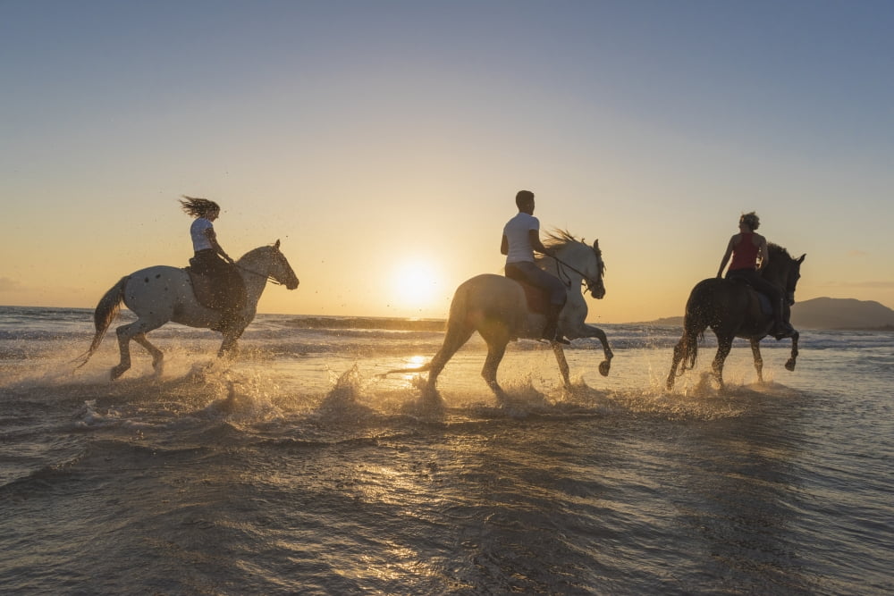 Horseback riding in the shallow water at sunset Tarifa Cadiz Andalusia Spain Canvas Art - Ben Welsh Design Pics (19 x 12)