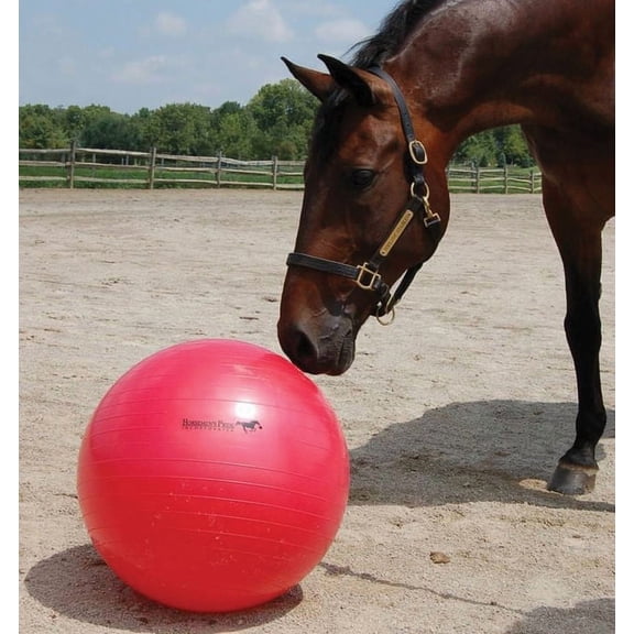 Horsemen's Pride Jolly Mega Ball Equine Heavy-Duty Anti-Burst Pump Plug 30 inch