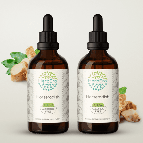 HerbEra Horseradish Tincture, Herbal Dietary Supplement for Digestive Support, Horseradish (Armoracia rusticana) Dried Root Extract, Natural, Alcohol-Free, Drops 2x4 oz