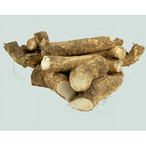 Horseradish Root. 16 oz. Great for Spring and Fall Planting! Sold by Weight, so You May Receive One Large Root, or Several Small Ones, Depending on Harvest. Non GMO, Gluten Free!