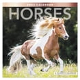 thumbnail image 1 of Horses 2024 Monthly Wall Calendar 12 x 12 - Wall Calendars, 1 of 9